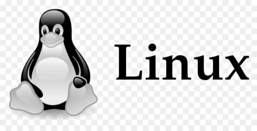 Ejemplos del linux photo 1