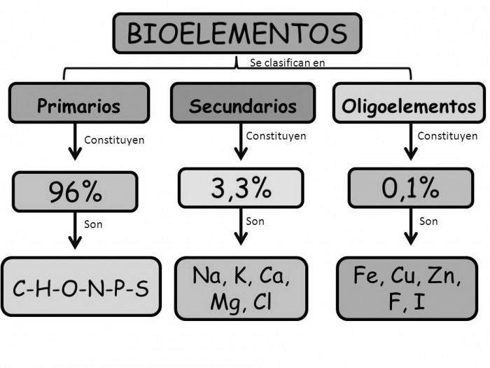 Ejemplo de bioelementos image 1