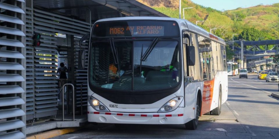 Master Palabras con Bus